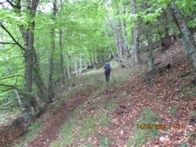 photo coins arrondis