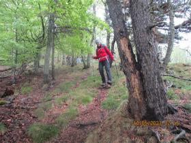 photo coins arrondis