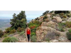 photo coins arrondis