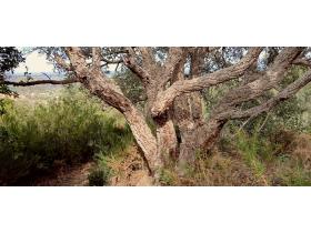 photo coins arrondis