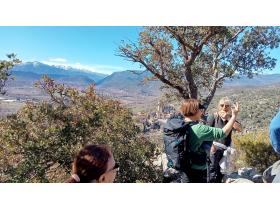 photo coins arrondis