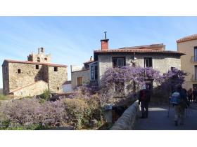 photo coins arrondis