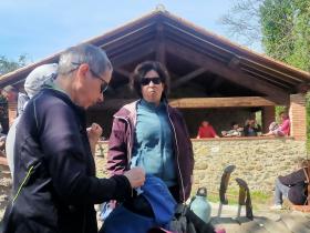 photo coins arrondis