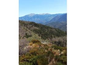 Image al&eacute;atoire