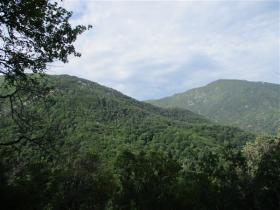 photo coins arrondis