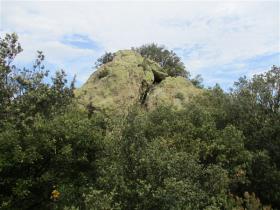 photo coins arrondis