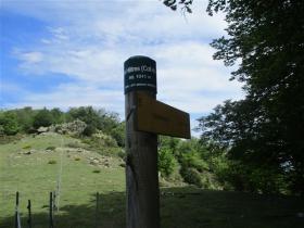 photo coins arrondis