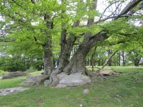 photo coins arrondis