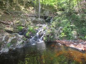 photo coins arrondis