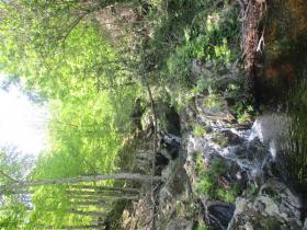 photo coins arrondis