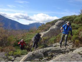 photo coins arrondis