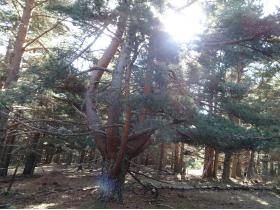 photo coins arrondis