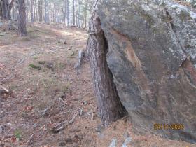 photo coins arrondis