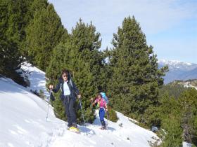 Image al&eacute;atoire