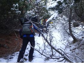 photo coins arrondis