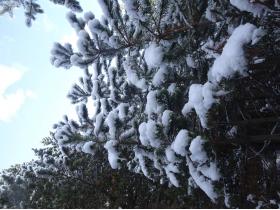 photo coins arrondis