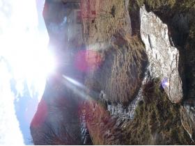 Image al&eacute;atoire