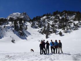 photo coins arrondis