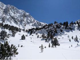 Image al&eacute;atoire