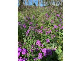 photo coins arrondis