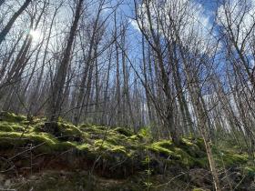 photo coins arrondis