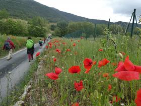 photo coins arrondis