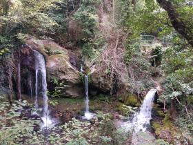 photo coins arrondis