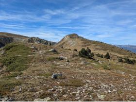 Image al&eacute;atoire