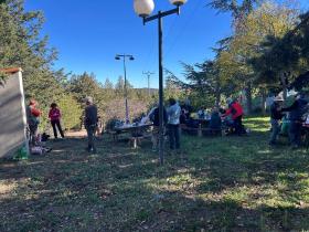 photo coins arrondis