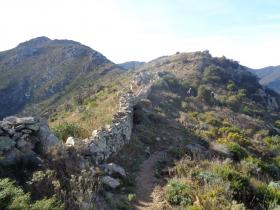 photo coins arrondis