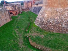 photo coins arrondis