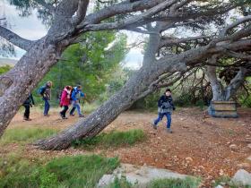 Image al&eacute;atoire