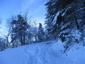 photo coins arrondis