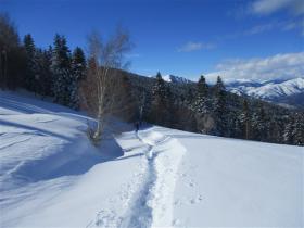 Image al&eacute;atoire