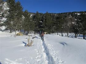 photo coins arrondis