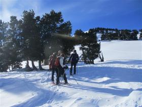 photo coins arrondis