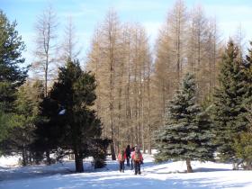 photo coins arrondis