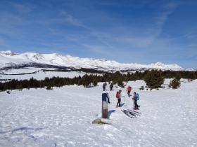 Image al&eacute;atoire