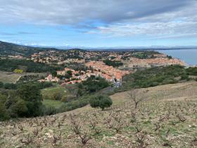 photo coins arrondis