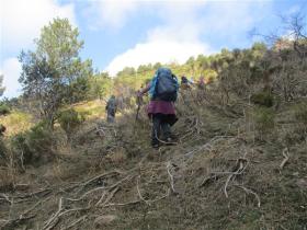 photo coins arrondis