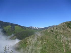 Image al&eacute;atoire